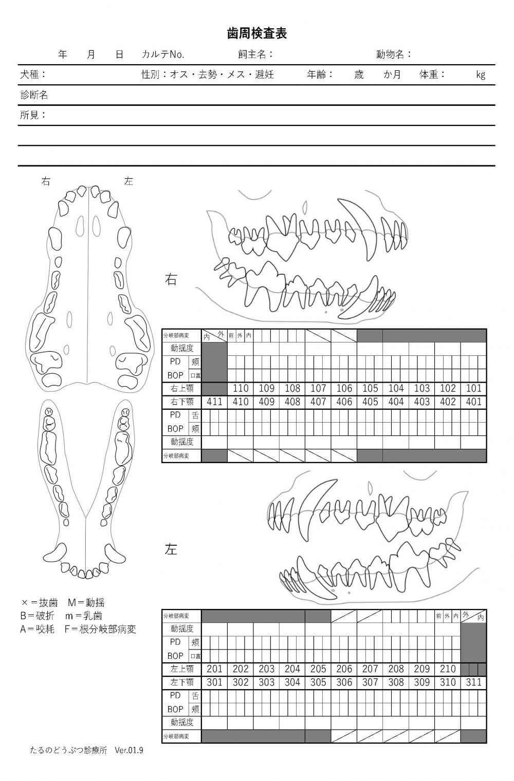 歯周検査表